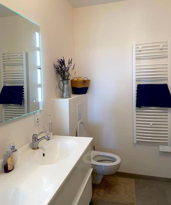 Peaceful Retreat In Drome Provencale Castel Apartamento Montboucher-sur-Jabron Exterior foto